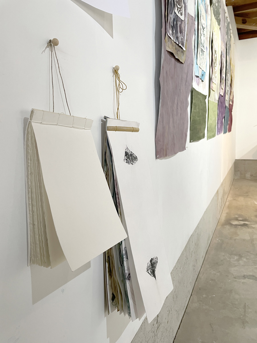 sketch books studio kura