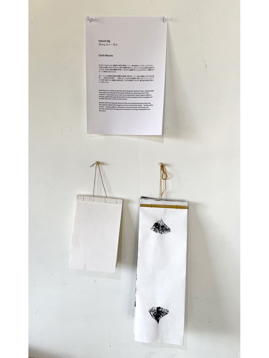 earth moons artist books